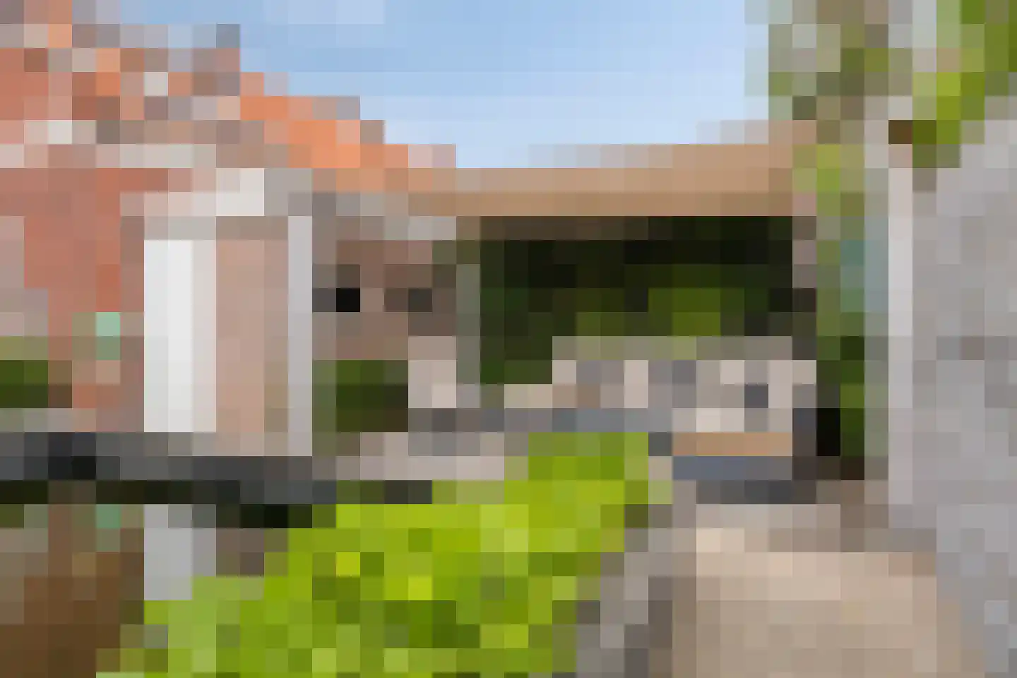 Dahliastraat 21 Roosendaal thumbnail 56