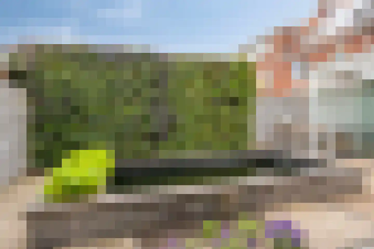 Dahliastraat 21 Roosendaal thumbnail 58