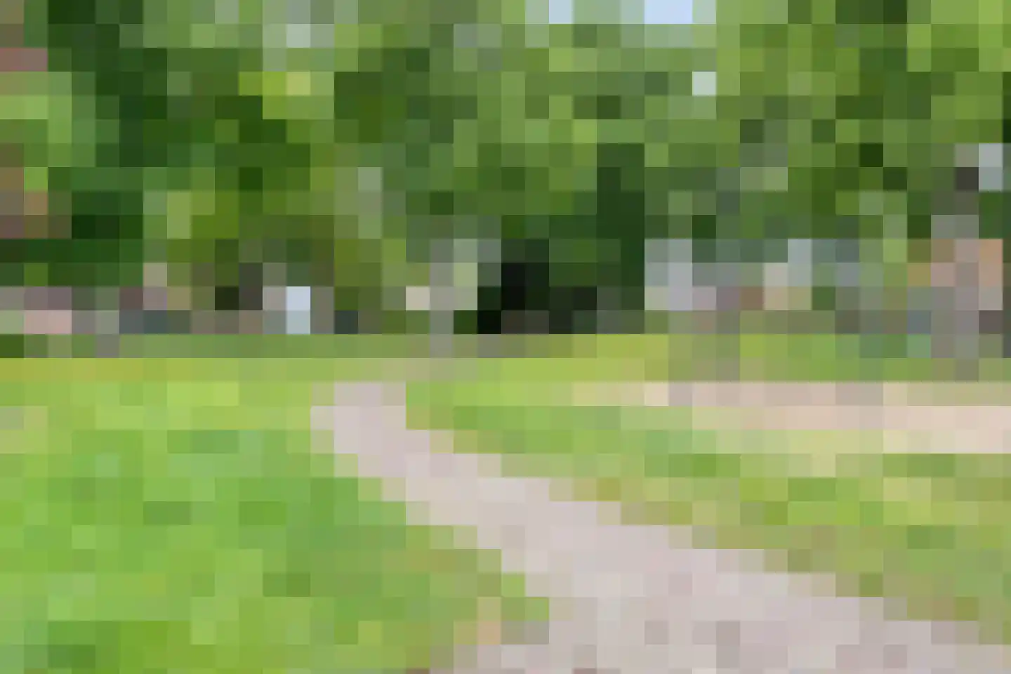Dahliastraat 21 Roosendaal thumbnail 66