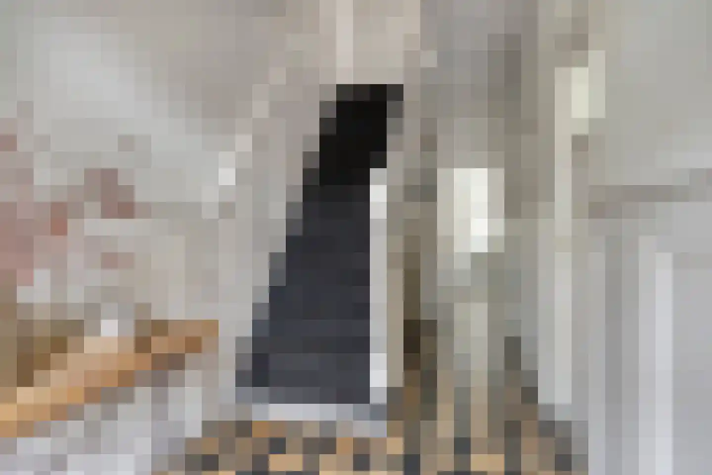 Dahliastraat 21 Roosendaal thumbnail 8