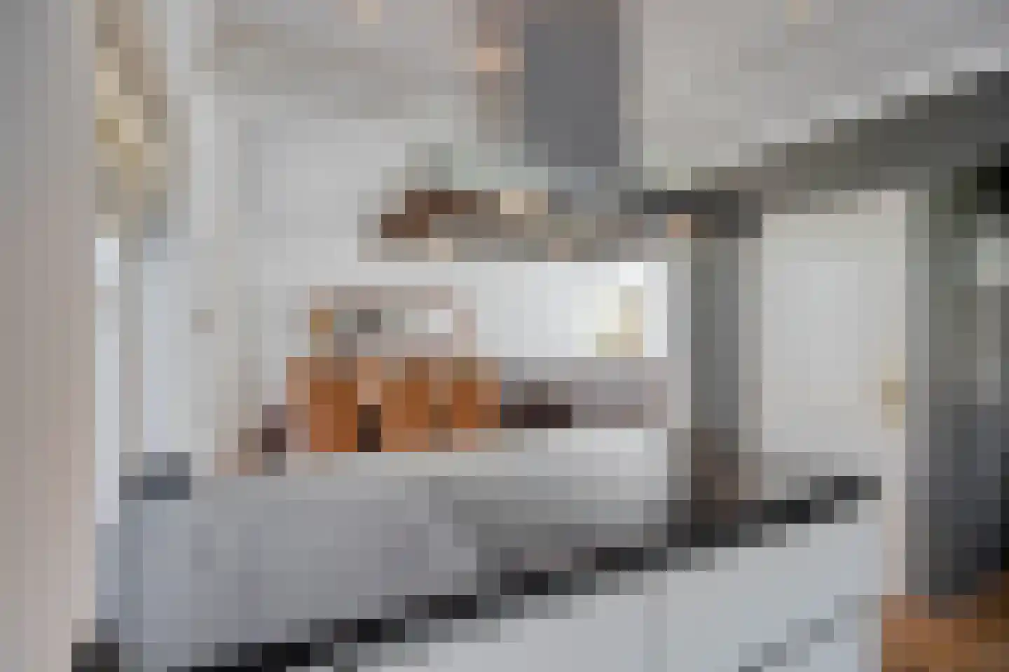 Dahliastraat 21 Sint-Oedenrode thumbnail 20