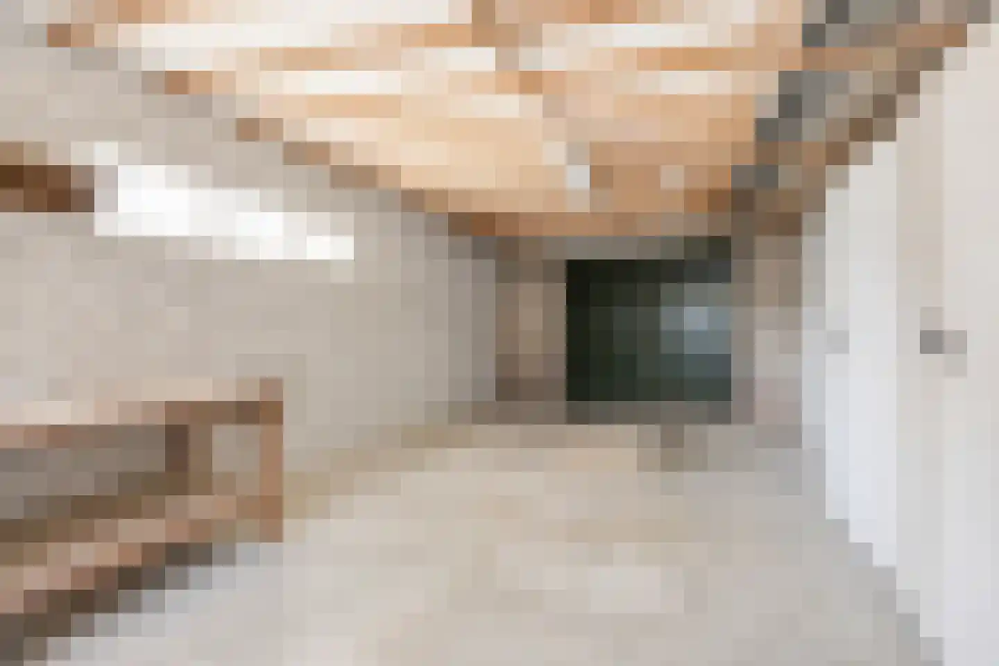 Dahliastraat 21 Sint-Oedenrode thumbnail 43