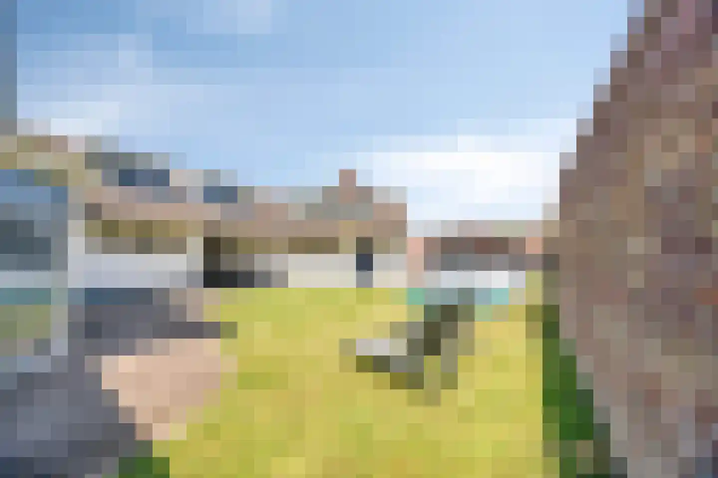 Dahliastraat 21 Sint-Oedenrode thumbnail 51