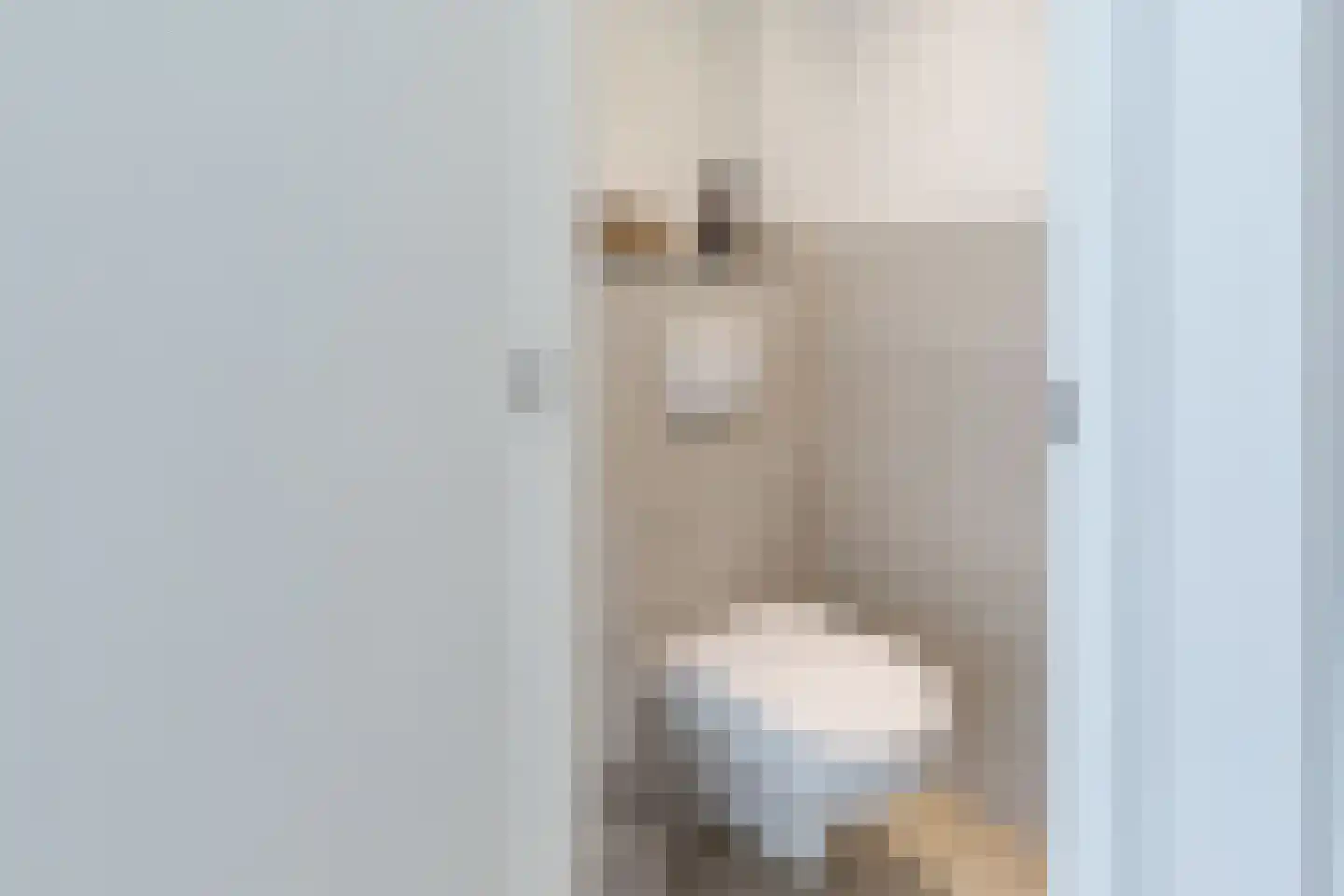 Dahliastraat 21 Wolvega thumbnail 6