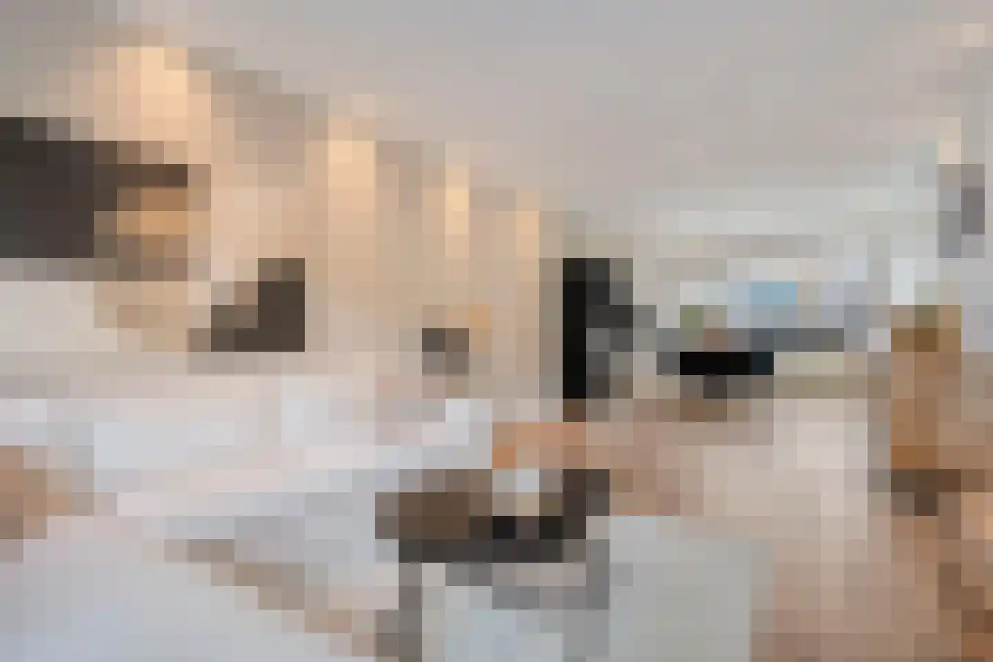 Dahliastraat 22 Beilen thumbnail 15