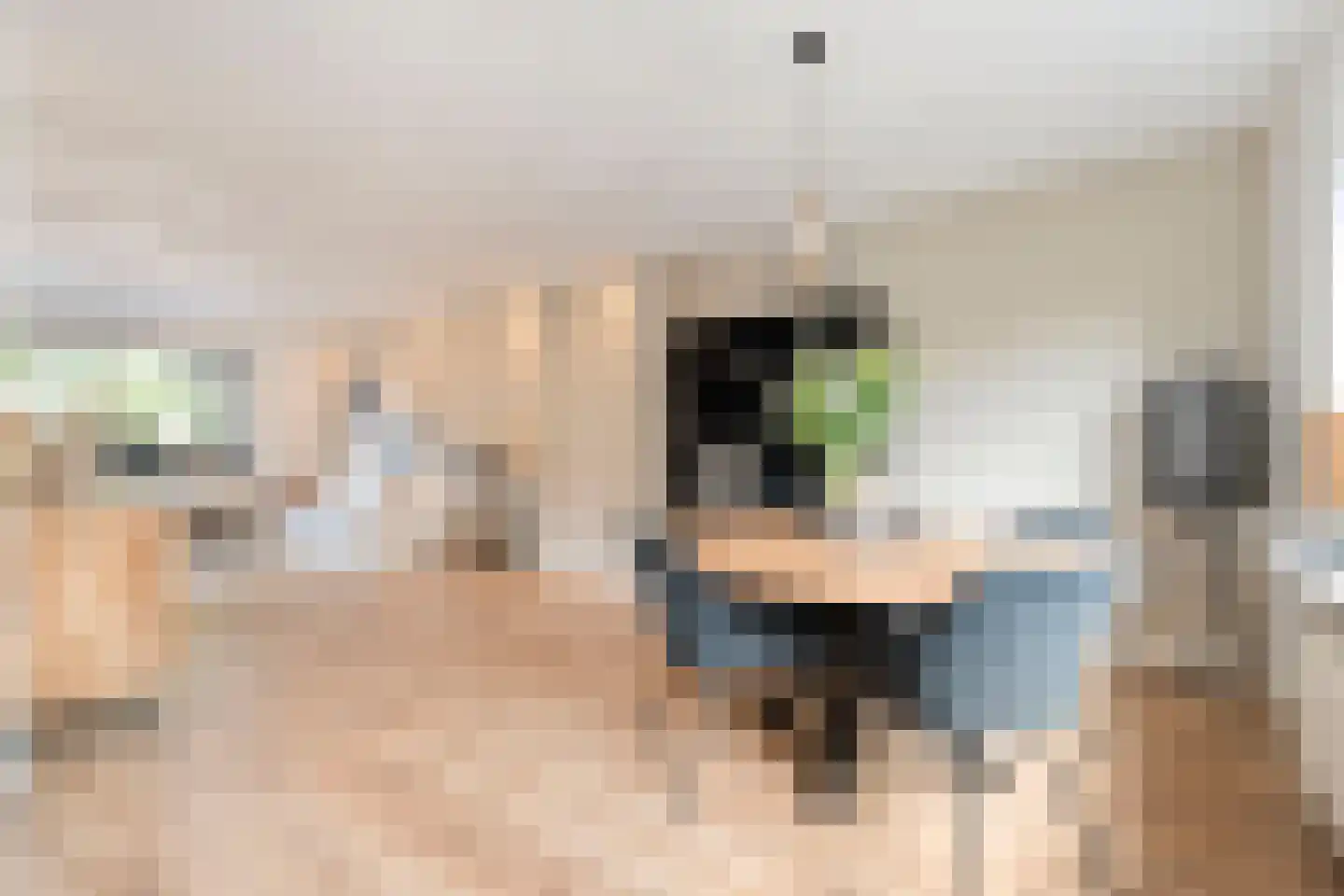 Dahliastraat 22 Beilen thumbnail 20