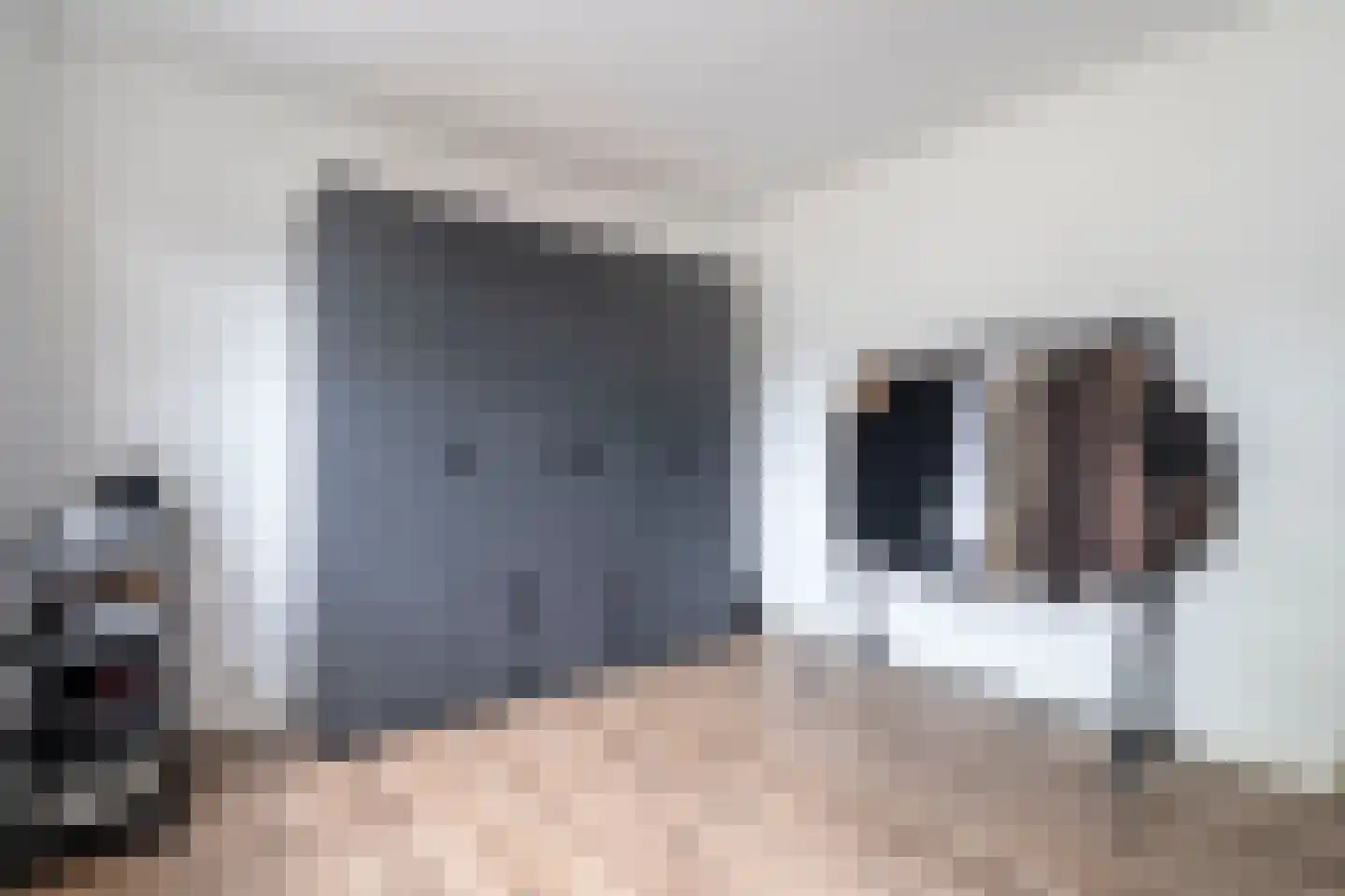 Dahliastraat 22 Beilen thumbnail 28