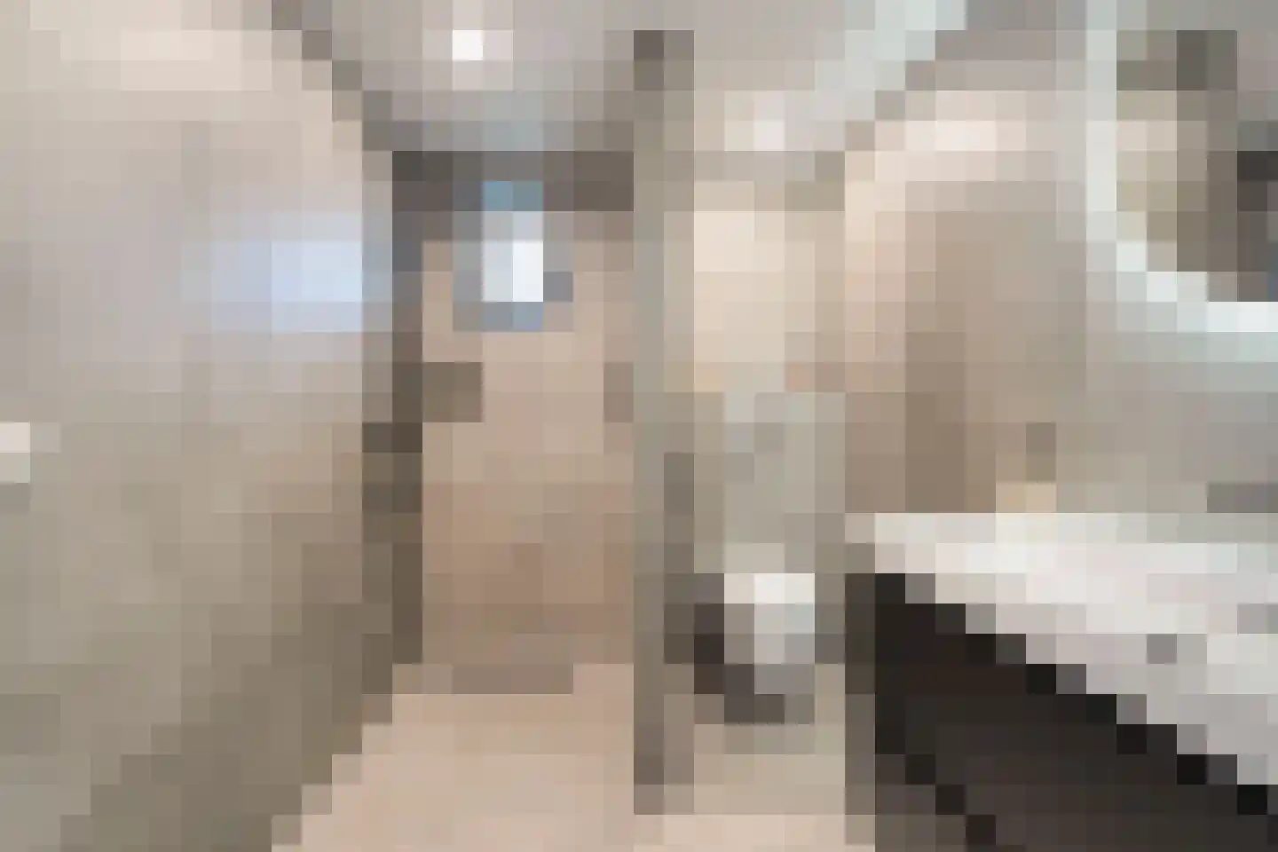 Dahliastraat 22 Beilen thumbnail 34