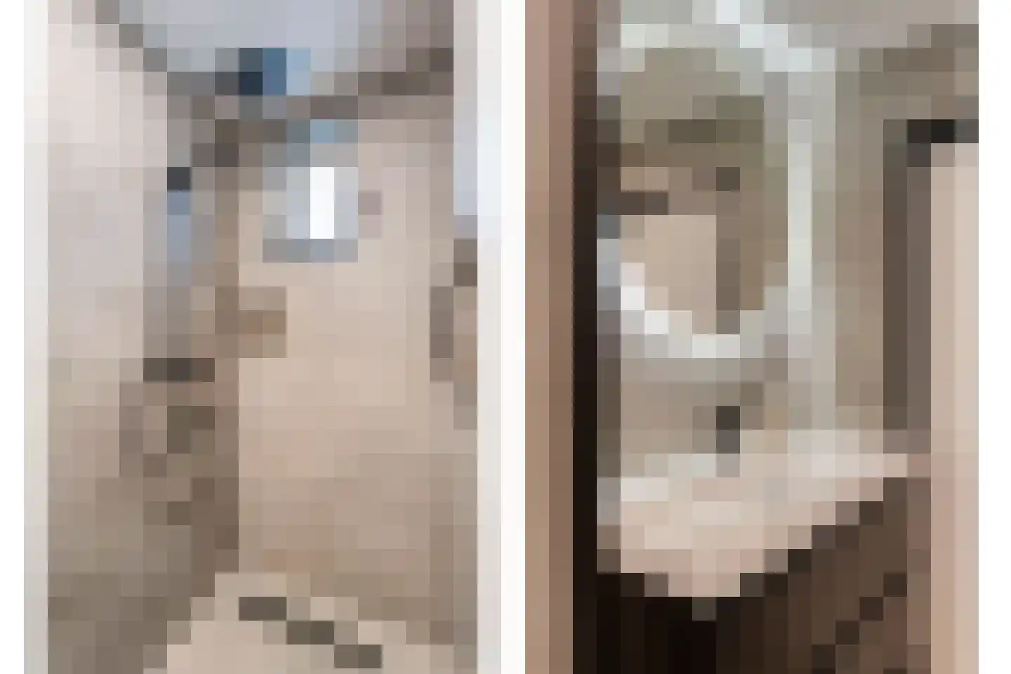 Dahliastraat 22 Beilen thumbnail 35