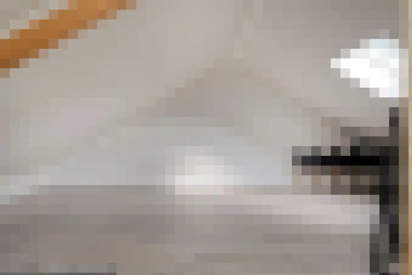 Dahliastraat 22 Beilen thumbnail 40