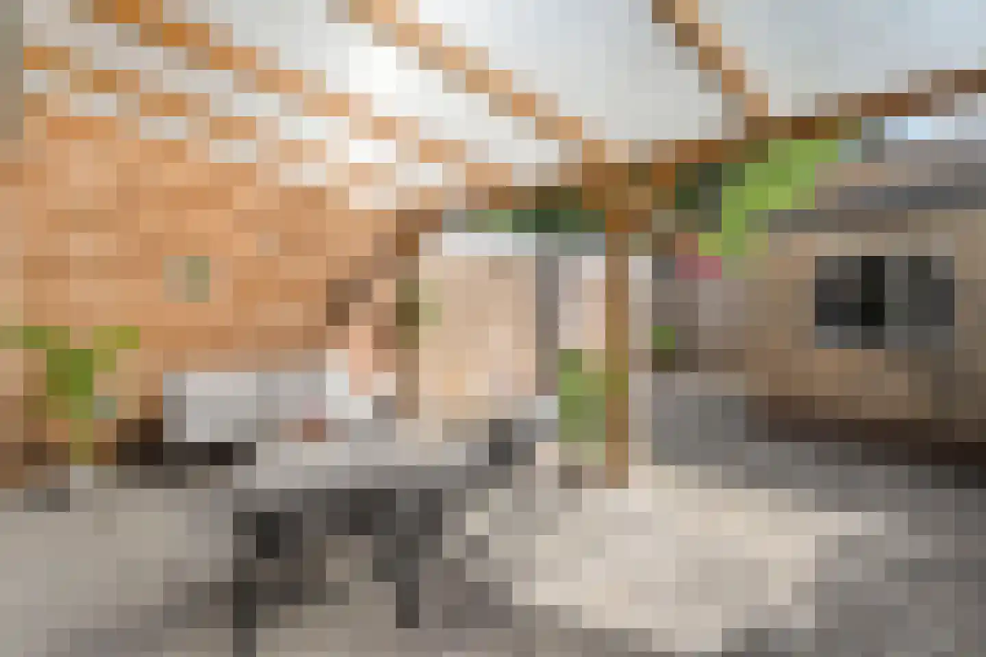 Dahliastraat 22 Beilen thumbnail 43