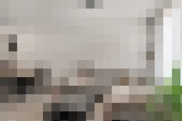 Dahliastraat 22 Lobith thumbnail 11