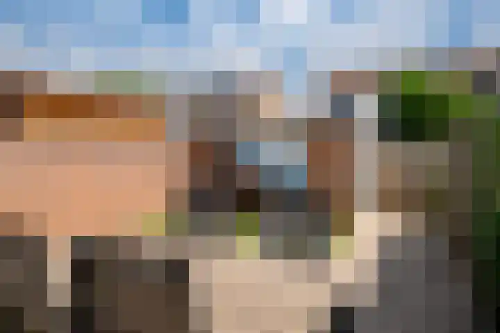 Dahliastraat 22 Lobith thumbnail 18