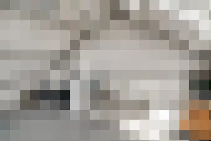 Dahliastraat 22 Lobith thumbnail 33