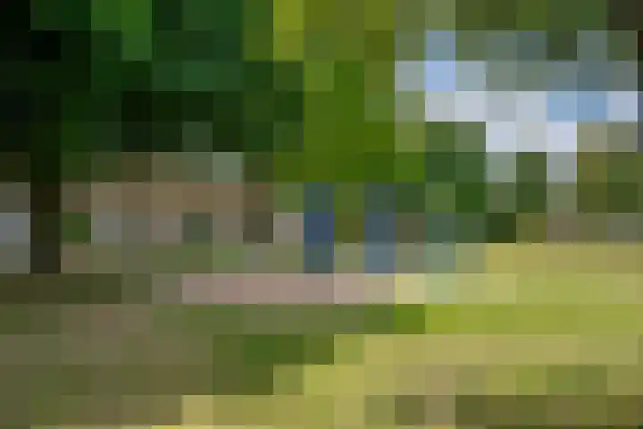 Dahliastraat 22 Lobith thumbnail 34