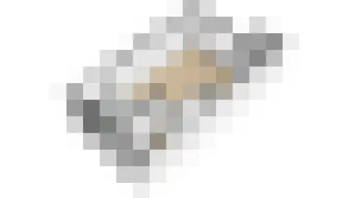 Dahliastraat 22 Lobith thumbnail 37