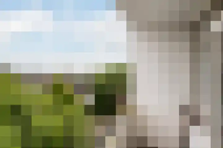 Dahliastraat 220 Zwijndrecht thumbnail 10