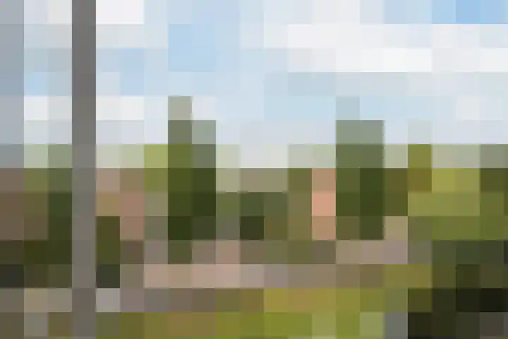 Dahliastraat 220 Zwijndrecht thumbnail 14