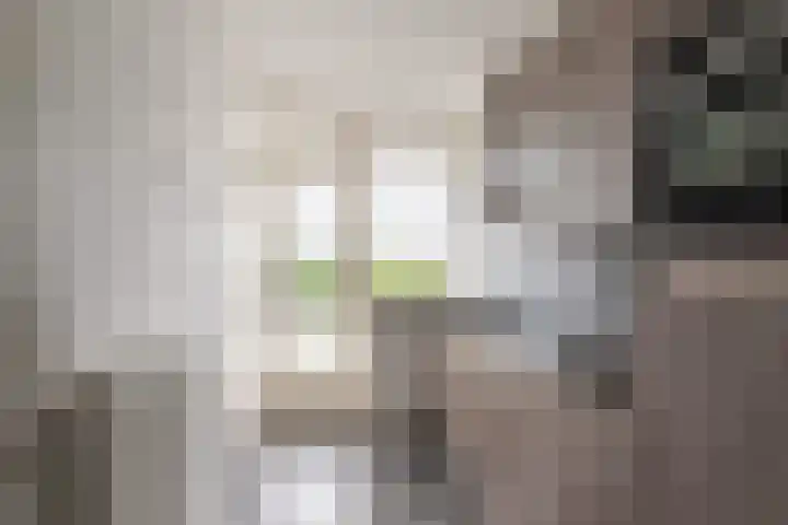 Dahliastraat 220 Zwijndrecht thumbnail 8