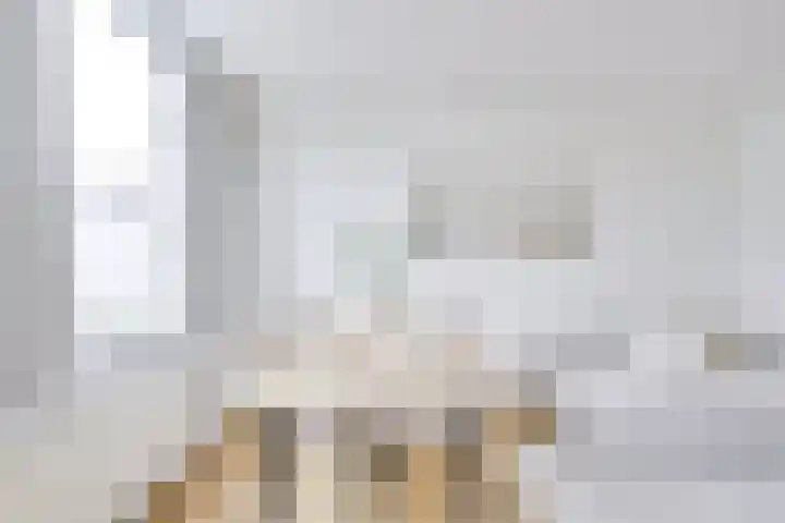Dahliastraat 23 B Utrecht thumbnail 11