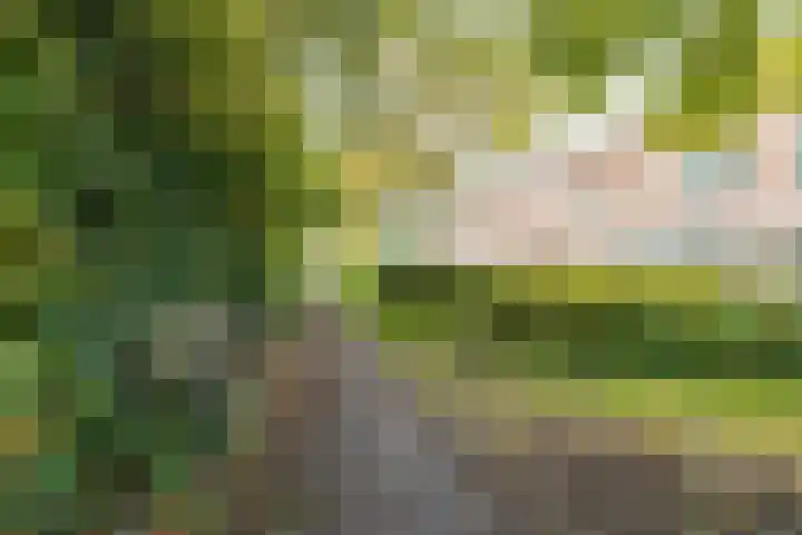Dahliastraat 23 B Utrecht thumbnail 26