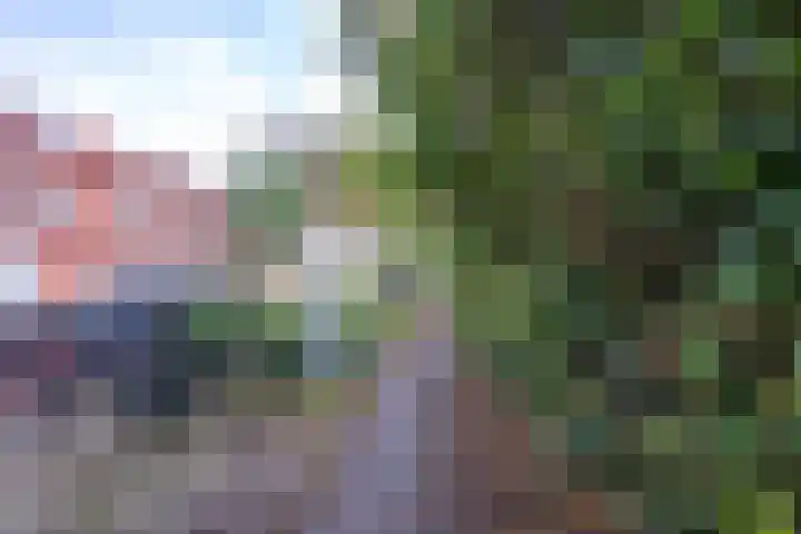 Dahliastraat 23 B Utrecht thumbnail 27