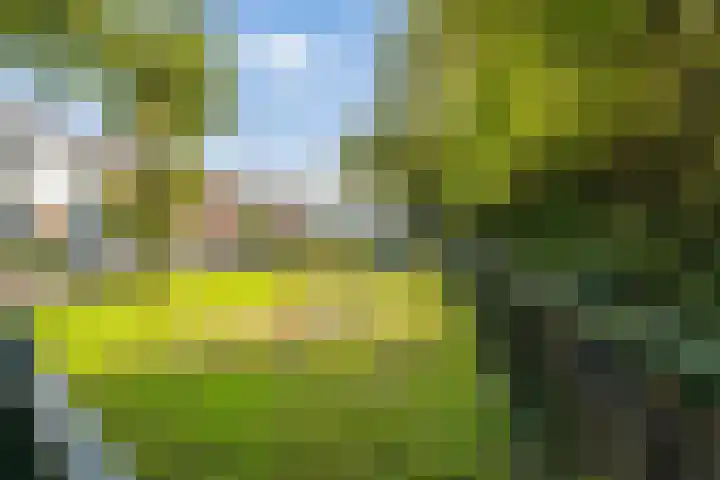 Dahliastraat 23 B Utrecht thumbnail 28