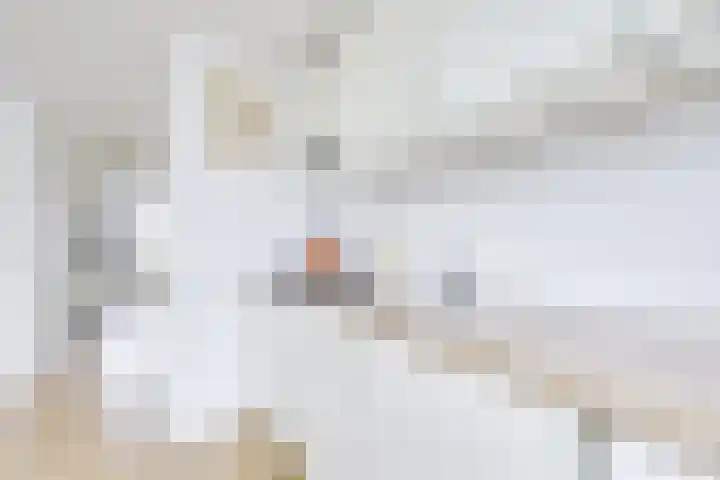 Dahliastraat 23 B Utrecht thumbnail 8