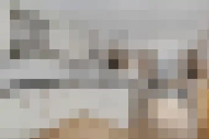 Dahliastraat 23 Ede thumbnail 10