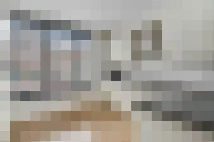 Dahliastraat 23 Ede thumbnail 11