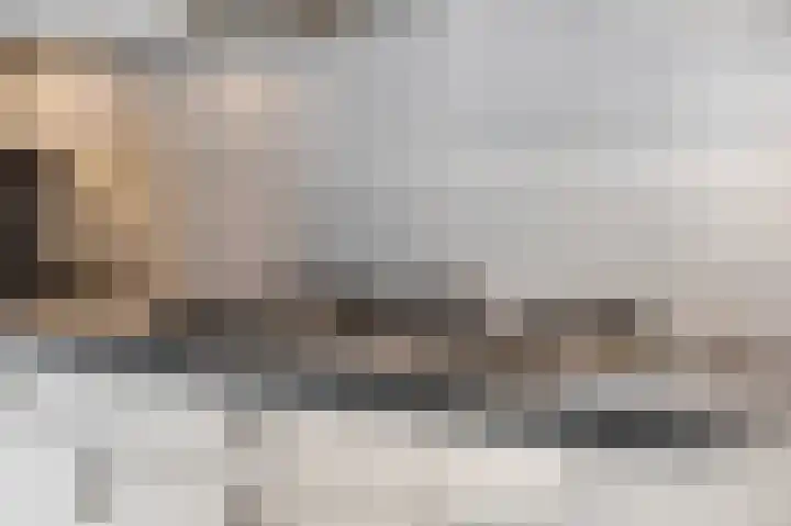Dahliastraat 23 Ede thumbnail 13