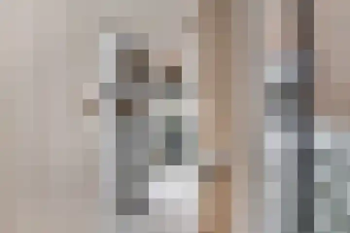 Dahliastraat 23 Ede thumbnail 15