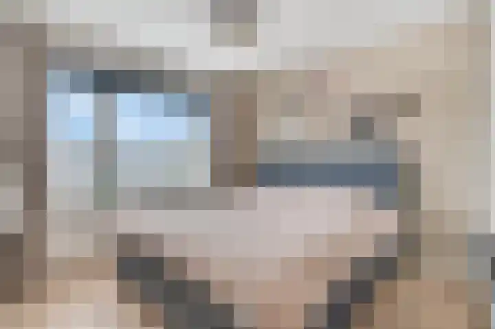 Dahliastraat 23 Ede thumbnail 20