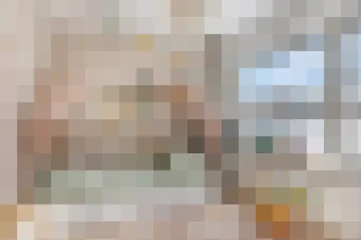 Dahliastraat 23 Ede thumbnail 22