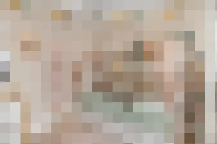 Dahliastraat 23 Ede thumbnail 23
