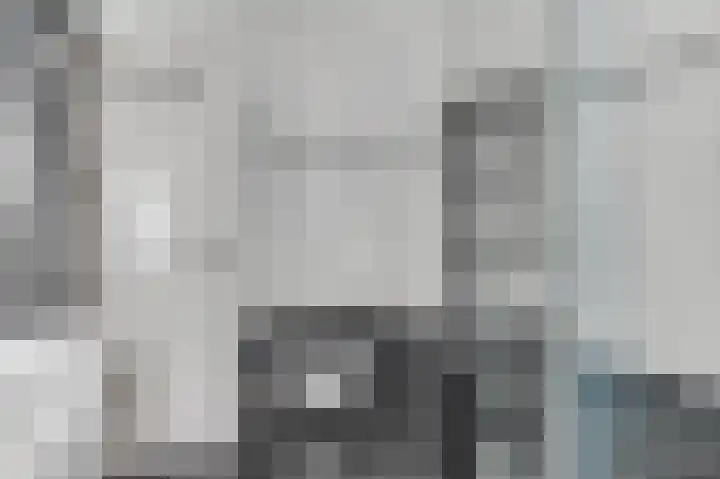 Dahliastraat 23 Ede thumbnail 26