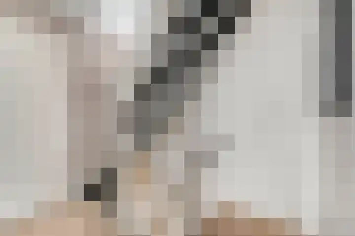Dahliastraat 23 Ede thumbnail 29