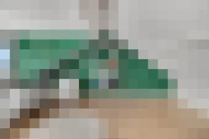 Dahliastraat 23 Ede thumbnail 31