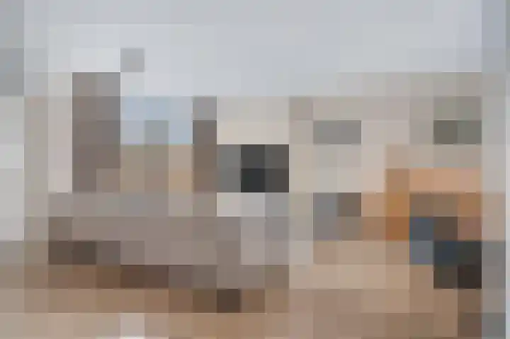Dahliastraat 23 Ede thumbnail 4