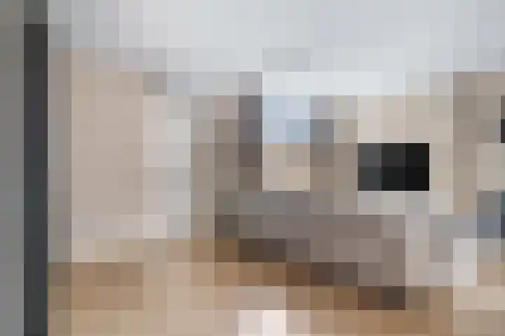 Dahliastraat 23 Ede thumbnail 5