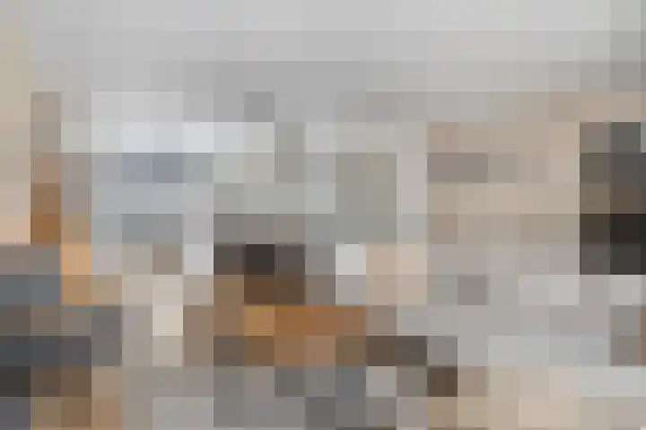 Dahliastraat 23 Ede thumbnail 8