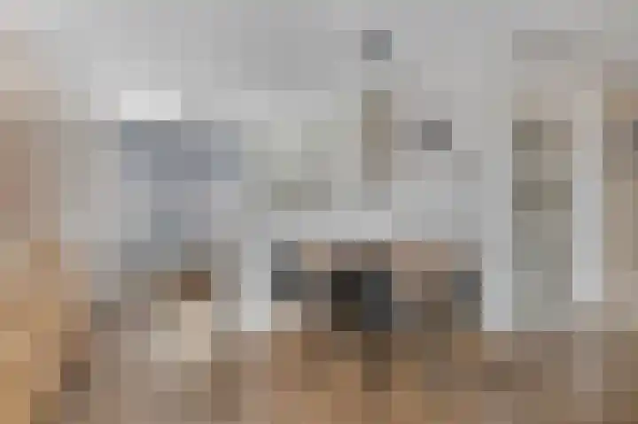 Dahliastraat 23 Ede thumbnail 9