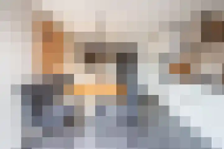 Dahliastraat 23 Gendringen thumbnail 11