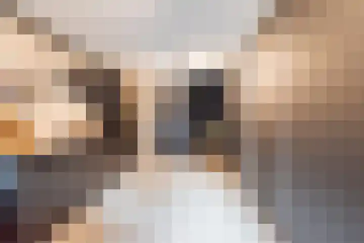 Dahliastraat 23 Gendringen thumbnail 17