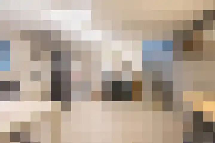 Dahliastraat 23 Gendringen thumbnail 21