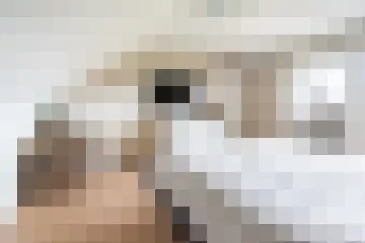 Dahliastraat 23 Gendringen thumbnail 25