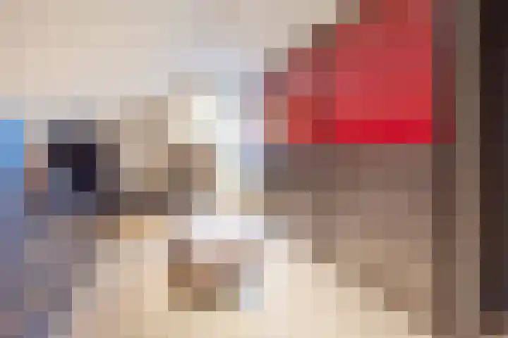 Dahliastraat 23 Gendringen thumbnail 33
