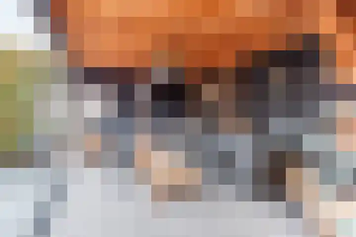 Dahliastraat 23 Gendringen thumbnail 38
