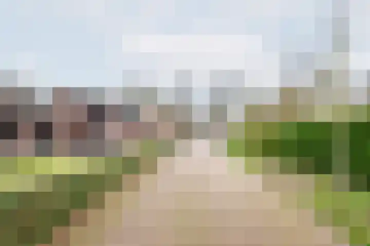 Dahliastraat 23 Gendringen thumbnail 47
