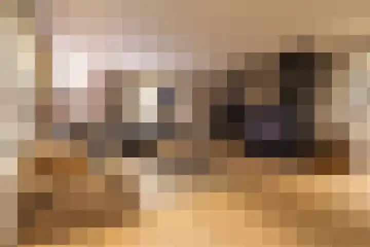 Dahliastraat 23 Gendringen thumbnail 51